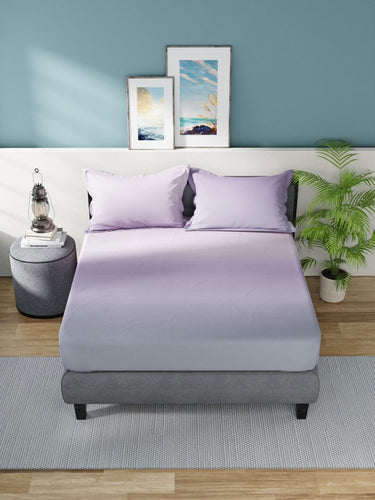 https://cdn.shopify.com/s/files/1/1857/6931/products/c364f8b9-61f2-4c20-80f8-af09882c3d781681699715143Bedsheets2.jpg?v=1703226762